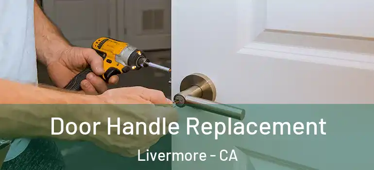  Door Handle Replacement Livermore - CA