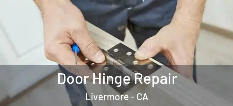  Door Hinge Repair Livermore - CA