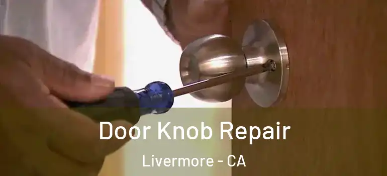  Door Knob Repair Livermore - CA
