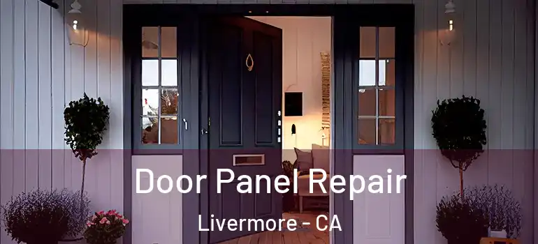  Door Panel Repair Livermore - CA