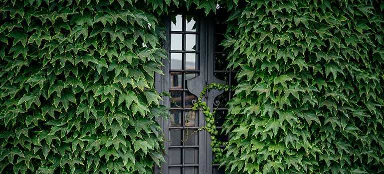 Garden Gate Repair in Livermore, CA