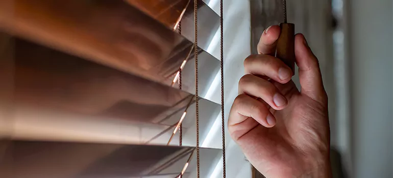 Double Roller Blinds in Livermore, CA