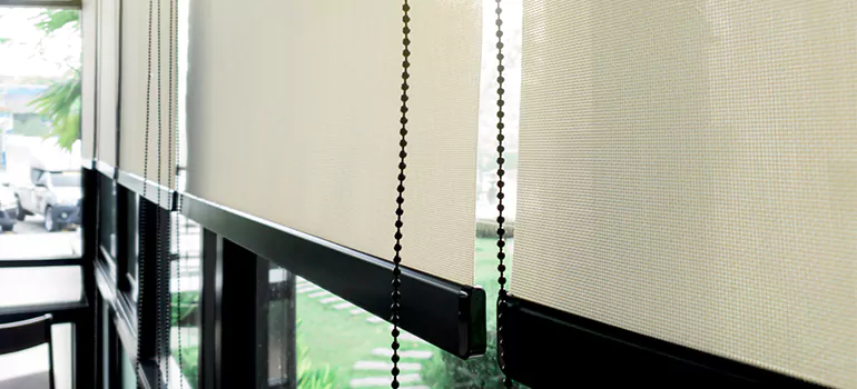 Blackout Window Shades in Livermore, CA
