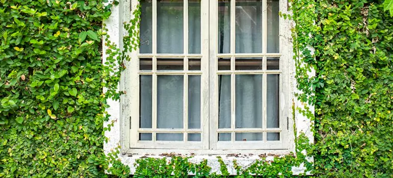 Garden Window Repair Near Me in Livermore, CA