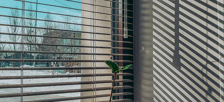 Commercial Window Blinds in Livermore, CA