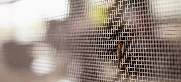 Repair Mosquito Mesh For Windows in Livermore, CA