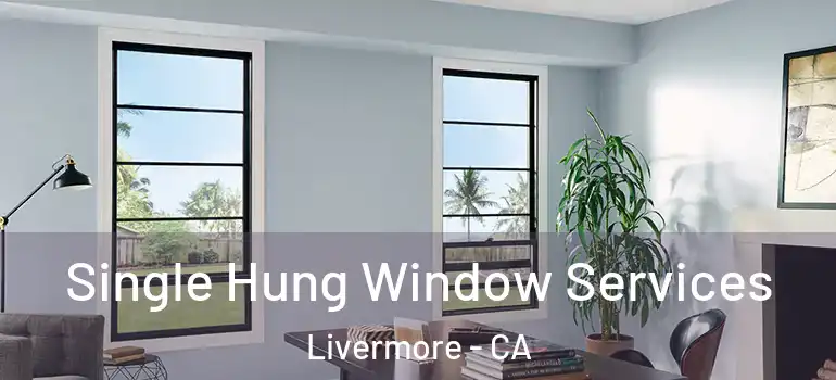  Single Hung Window Services Livermore - CA