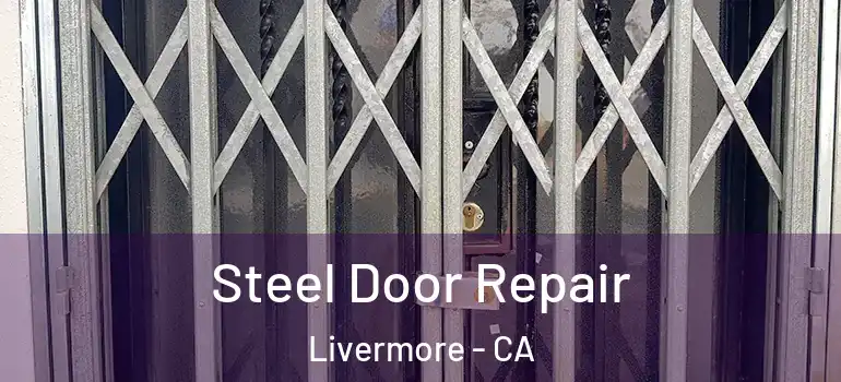  Steel Door Repair Livermore - CA