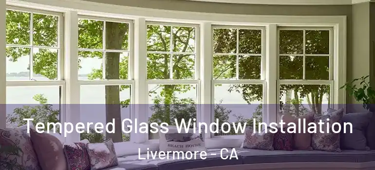  Tempered Glass Window Installation Livermore - CA