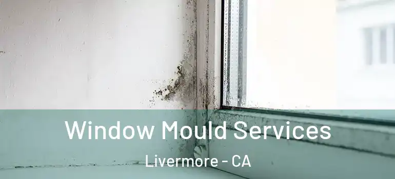  Window Mould Services Livermore - CA