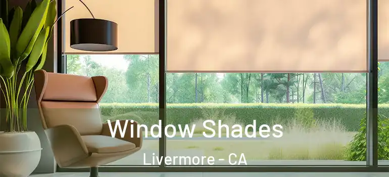  Window Shades Livermore - CA